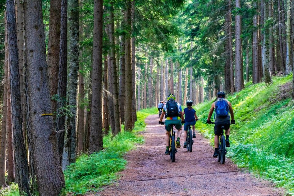 vtt-soreze-pixabay-960×640